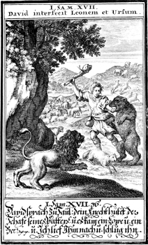 David Kills the Lion and the Bear